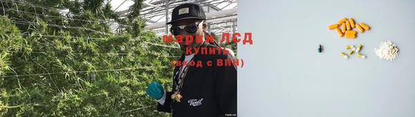 apvp Балахна