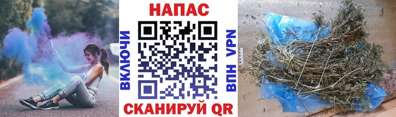 Конопля THC 21%  Суздаль 